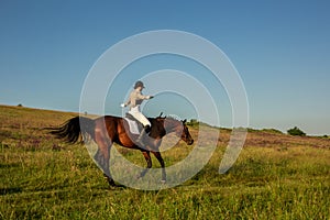 Equestrian sport. Young woman riding horse on dressage advanced test