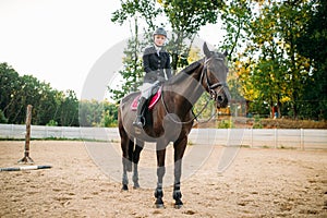Equestrian sport, young woman sitting on horse