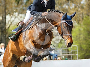 Equestrian Sports