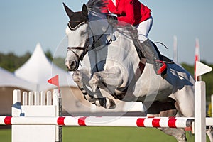 Equestrian Sports