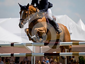 Equestrian Sports