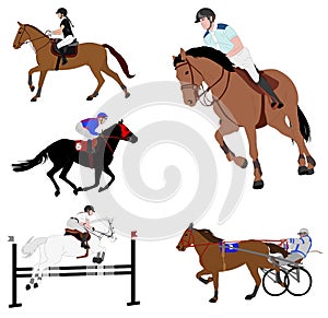 Equestrian sports. dressage,jump show,gallop,harness racing