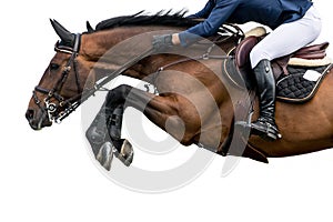Equestrian Sports, Horse Jumping Event, Isolated on White Background