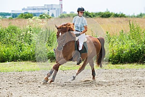 Equestrian Sports, Horse jumping, Show Jumping