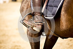 Equestrian Sports photo