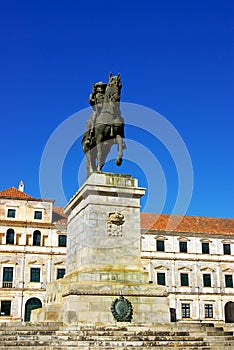 Equestrian statue and ducal palace.