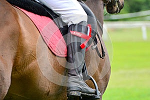 Equestrian winner with his red rosette