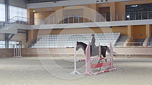 Equestrian - a woman in black clothes slowly rides a brown horse on an empty arena