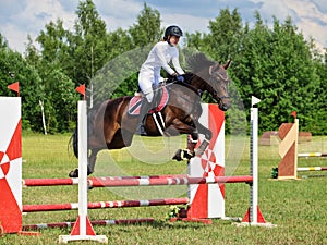 Equestrian woman jumping sportive horse in summer fields