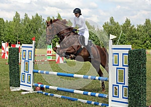 Equestrian woman jumping sportive horse in summer fields