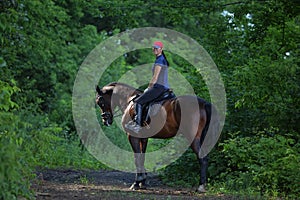 Equestrian woman riding horse in summer nature