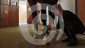 Equestrian - young woman putting a harness on horses legs