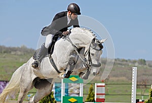 Equestrianism: rider in jumping show