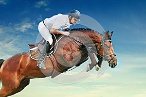 Equestrianism: rider in jumping show