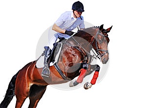 Equestrianism: rider in jumping show, isolated