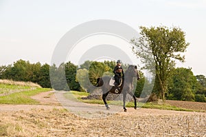 Equestrienne and a horse.