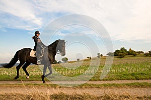 Equestrienne and a horse.
