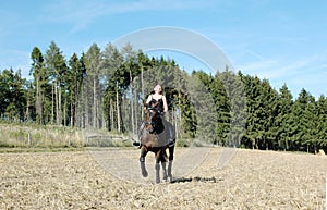 Equestrienne and horse. Hanoverian.