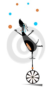 Equilibrist dog rides on the unicycle and juggles the balls illustration