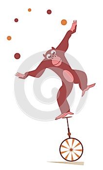 Equilibrist monkey rides on the unicycle and juggles the balls illustration