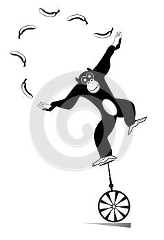 Equilibrist monkey rides on the unicycle and juggling the bananas