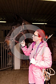 Equine dentist ready for a dental checkup