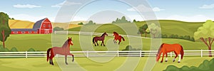 Equine farm landscape. Equestrian ranch stable yard running horses, horse eating grass on summer field, purebred