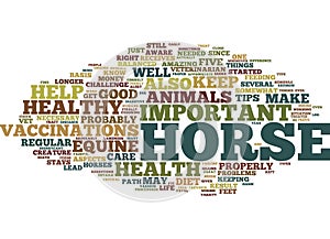 Equine Health Five Tips For A Healthy Horse Text Background Word Cloud Concept