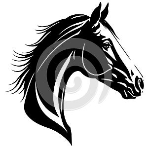 equine horse animal head