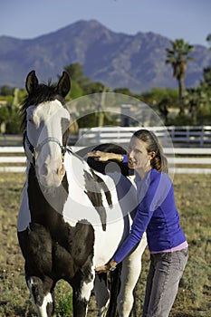 Equine Myofascial Relaese Techninque on Belly