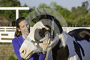 Equine Myofascial Release Technique on Face and Jaw