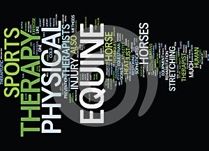 Equine Physical Therapy Text Background Word Cloud Concept