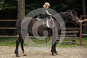 Equine therapy. Girl ride on horse on summer day