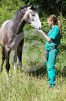 Equine veterinary