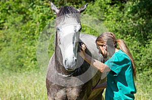 Equine veterinary