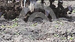 Equipment for agriculture. Agricultural machinery at work in the field, plowing the land for planting agricultural