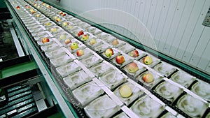 Equipment in a factory for drying and sorting apples. industrial production facilities in food industry