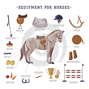 Equipment for Horses Set, Horse Riding Essentials and Grooming Tools Vector Illustration