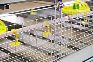 Equipment at the poultry farm