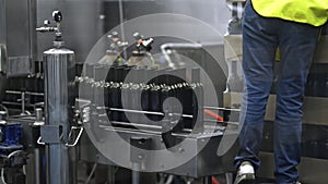 Equipment of winery industry woman puts wine bottles on belt