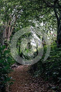 Equipped path in the botanical garden at summer day