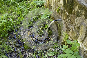 Equipped spring in the forest.