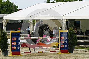 Equitation contest, horse jumping over obstacle photo