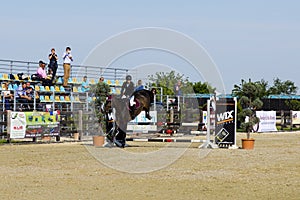 Equitation contest, horse jumping over obstacle photo