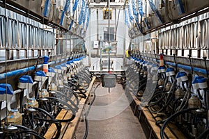 Equpment with milking machines on dairy