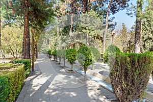 Eram Garden in Shiraz. Iran