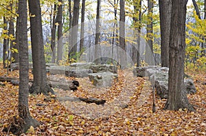 Eramosa Karst Conservation Area - October 26, 2014