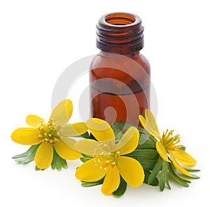 Eranthis hyemalis and medicinal extract