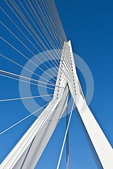 Erasmus Bridge