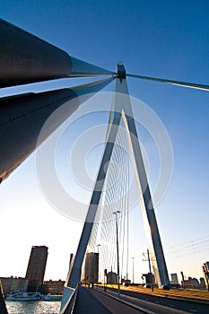 The Erasmus Bridge